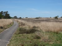 Koningsweg von Rozendaalse Veld