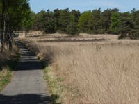 Koningsweg von Rozendaalse Veld