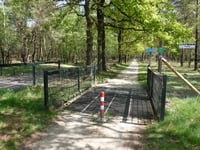 Koningsweg z Schaarsbergen