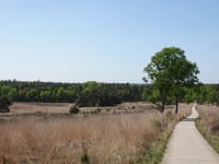 Koningsweg z Schaarsbergen