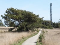 Koningsweg z Schaarsbergen