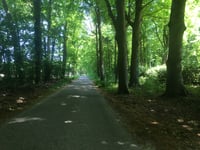 Het Uilenbos von Lunteren