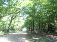 Het Uilenbos von Lunteren