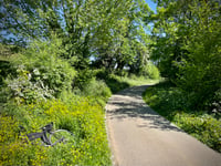 Katsberg via Ruelle du Buisson