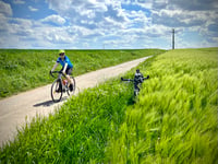 Mont Kokereel via Chemin de Cappelveld