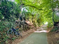Mont des Cats via Chemin de la Basse Verdure