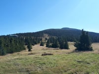 Przełęcz Karkonoska von Podgórzyn über Przesieka