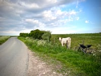 Vieux Chemin de Lille von Bailleul