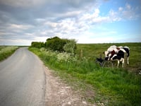 Vieux Chemin de Lille da Bailleul