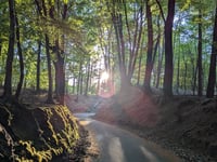 Rozenbos / Holleweg