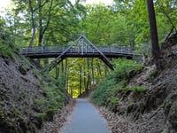 Rozenbos / Holleweg