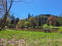 Kvetnica von Poprad