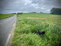 Côte de Rupembert von Wimille