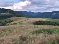Wola Krogulecka da Barcice