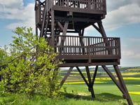 Zakrzów von Podlesie