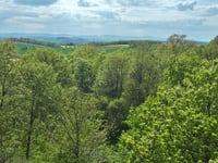 Zakrzów von Podlesie