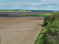 Zakrzów von Podlesie