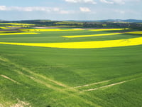 Zakrzów von Podlesie