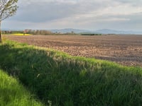 Las Biernacicki von Nieszków