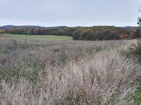 Nowa Wieś Wielka von Paszowice