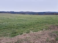 Nowa Wieś Wielka von Paszowice