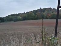 Gozdno von Świerzawa
