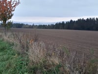 Gozdno von Świerzawa