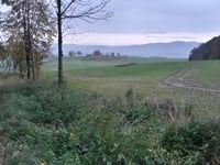 Gozdno von Świerzawa
