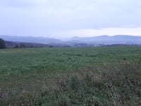 Gozdno von Świerzawa
