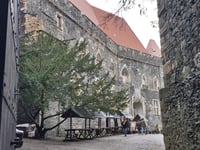 Zamek Grodziec von Grodziec