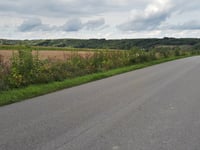 Grabnik from Krasnobród