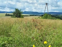 Góra Gardzien von Radków