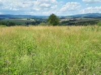 Góra Gardzien von Radków