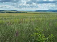 Góra Gardzien von Radków