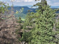Błędne Skały from Kudowa-Zdrój