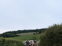 Nouveau Monde depuis Juslenville-Petite par Wislez