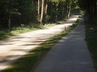 Wullenberg desde Holten