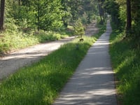 Plaggenweg von Haarlerweg