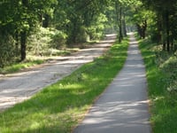 Plaggenweg von Haarlerweg