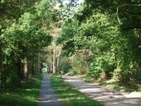 Plaggenweg von Haarlerweg