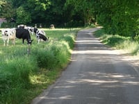 Bergweg von Hellendoornseweg