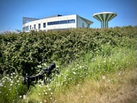 Route de Calais da Wimille