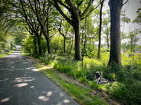 Bois de Souverain Moulin von Pittefaux