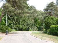 De Ruyterweg via Jan van Galenlaan
