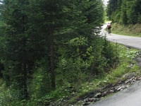 Gerlitzen Alpenstrasse from Bodensdorf