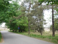 Grote Koningsbelt