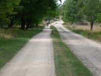 Kleine Koningsbelt from Grote Koningsbelt