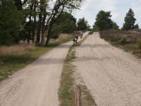 Kleine Koningsbelt from Grote Koningsbelt