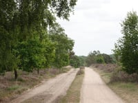 Kleine Koningsbelt from Grote Koningsbelt