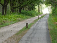 Kleine Koningsbelt von Haarle